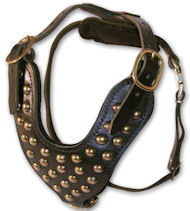 Stud Dog Harness for German Shepherd -2 ply leather HARNESS