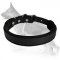 Padded Leather dog collar - C24 1 inch (2.5cm) width