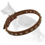 Brass Studded Leather Dog Collar
