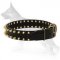 Leather German Shepherd Collar with Golden Spikes