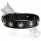 All Weather Collar with Silver Conchos