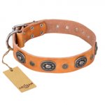 "Twinkle Twinkle" FDT Artisan Incredible Studded Tan Leather German Shepherd Collar