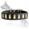 Gorgeous Wide Leather Dog Collar & Plates