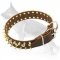 Spiked Studded Dog Collar For German Shepherd Dogs
