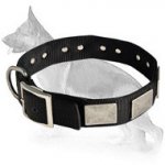 Nylon Dog Collar For Large and Medium Breeds With Vintage Plates