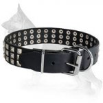 Wide Leather German Shepherd Collar with 3 Rows of Nickel Plated Pyramids