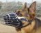 German Shepherd Basket Wire Dog Muzzle Fully Padded