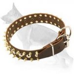 Spiked Studded Dog Collar For German Shepherd Dogs