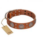 "Sun Rise Noon" FDT Artisan Tan Leather German Shepherd Collar with Unique Design