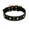 FDT Artisan 'Heavy Metal' Decorated Leather German Shepherd Collar with Skulls and Studs 1 1/2 inch (40 mm)