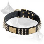 German Shepherd Leather Dog Collar Brass Plates 6 Spikes 3 Pyramids