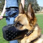 Leather Dog Muzzle "Dondi" Style For German Shepherd