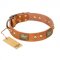 "Saucy Nature" FDT Artisan Tan Leather German Shepherd Collar with Old Bronze Look Plates and Skulls