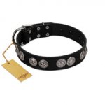 "Magic Amulete" Handcrafted FDT Artisan Black Leather German Shepherd Collar with Chrome-Plated Shields
