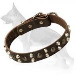 Custom Studded German Shepherd Leather Dog Collar