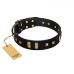 "Fit for Royalty" FDT Artisan Black Leather German Shepherd Collar with Plates and Small Square Studs