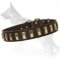 Leather German Shepherd Collar with Unusual Brass Plates