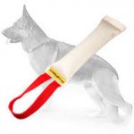 Fire Hose Dog Bite Toy With Handle for Young Dog Training