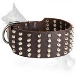 German Shepherd Leather Dog Collar Pyramids Five Rows