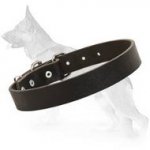 German Shepherd Dog Collar 30 mm