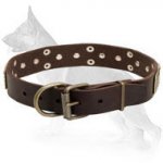 Leather German Shepherd Collar with Brass Plates and Nickel Plated Cones