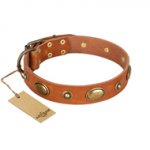 "Visual Magic" FDT Artisan Tan Leather German Shepherd Collar for Daily Activities