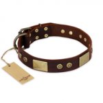 "Shining Armour" FDT Artisan Brown Leather German Shepherd Collar with Decorations
