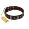 "War Chief" FDT Artisan Genuine Brown Leather German Shepherd Collar with Skulls and Plates