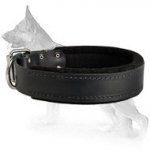 Padded Leather Dog Collar with Thick Felt - C24