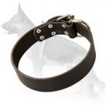 Leather Field Collar For German Shepherd Dog