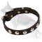 Elegant Studded Leather German Shepherd Collar