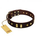 "Blinking Illusion" FDT Artisan Brown Leather German Shepherd Collar with Old Bronze-like Studs and Plates
