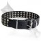 Wide Leather German Shepherd Collar with 3 Rows of Nickel Plated Pyramids