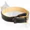 2 Ply Leather German Shepherd Collar Nappa Padded