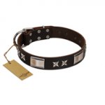 "Satin Beauts" FDT Artisan Brown Leather German Shepherd Collar with Stars and Plates