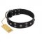 "Skull Art" Designer Handmade FDT Artisan Black Leather German Shepherd Collar with Skulls