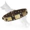 Gorgeous War Dog Leather Dog Collar