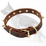 Multipurpose Spiked Leather Collar