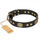 "Golden Radiance" FDT Artisan Black Leather German Shepherd Collar with Old Bronze Look Ovals and Circles