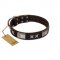 "Satin Beauts" FDT Artisan Brown Leather German Shepherd Collar with Stars and Plates