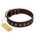 "Starry-Eyed" Best Quality FDT Artisan Brown Designer Leather German Shepherd Collar with Small Plates