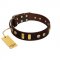 "Lord of Dogs" FDT Artisan Brown Leather German Shepherd Collar with Old Bronze-like Dotted Studs and Tiles