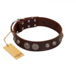 "Choco Brownie" FDT Artisan Brown Leather German Shepherd Collar Adorned with Silver-Like Conchos