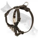 Leather German Shepherd Puppy Harness Decorated with Studs