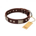 "Pirate Skull" FDT Artisan Brown Leather German Shepherd Collar with Old Silver Look Plates and Skulls