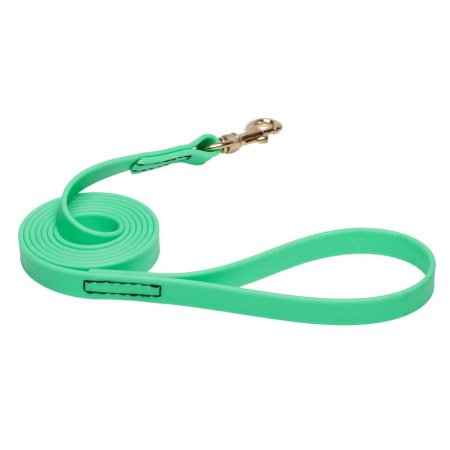 Green Waterproof German Shepherd Leash Made of Biothane