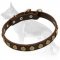 Gorgeous Leather Dog Collar With Doted Circles