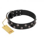 "Power-Flower" FDT Artisan Black Leather German Shepherd Collar with Two Rows of Silver-like Studs with Engraved Flowers