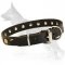 Leather Special Dog Collar With Circles