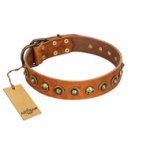 "Prez of the Pack" FDT Artisan Tan Leather German Shepherd Collar with Skulls and Brooches